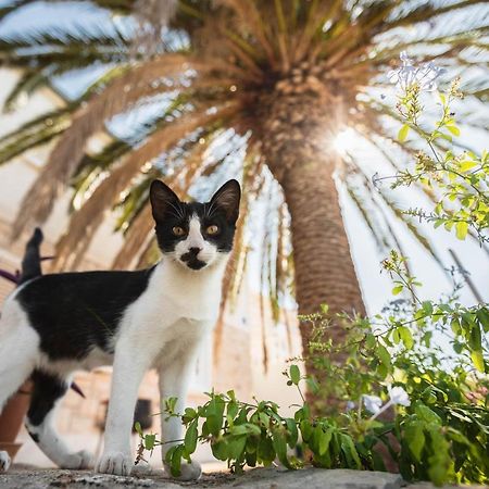 Apartment Prospe Vela Luka Bagian luar foto